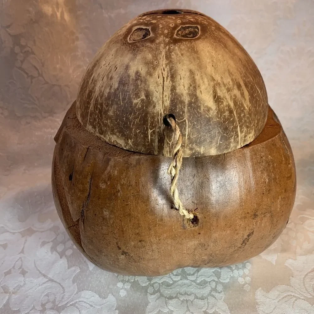 Have Fun Monkey Head Brown Coconut Drink Cup Straw Slot Bank Souvenir Home Bar